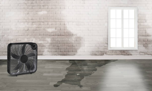 Best Emergency water damage restoration  in Stanton, NE